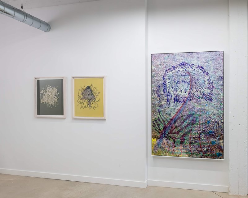 20220709 Alex Fischer Giving Entry NAMARA projects 76 Samuyalie Untitled +Datura documentation